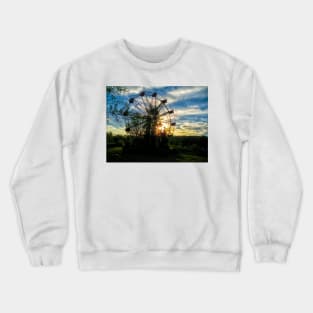 A Magnificent Wheel Crewneck Sweatshirt